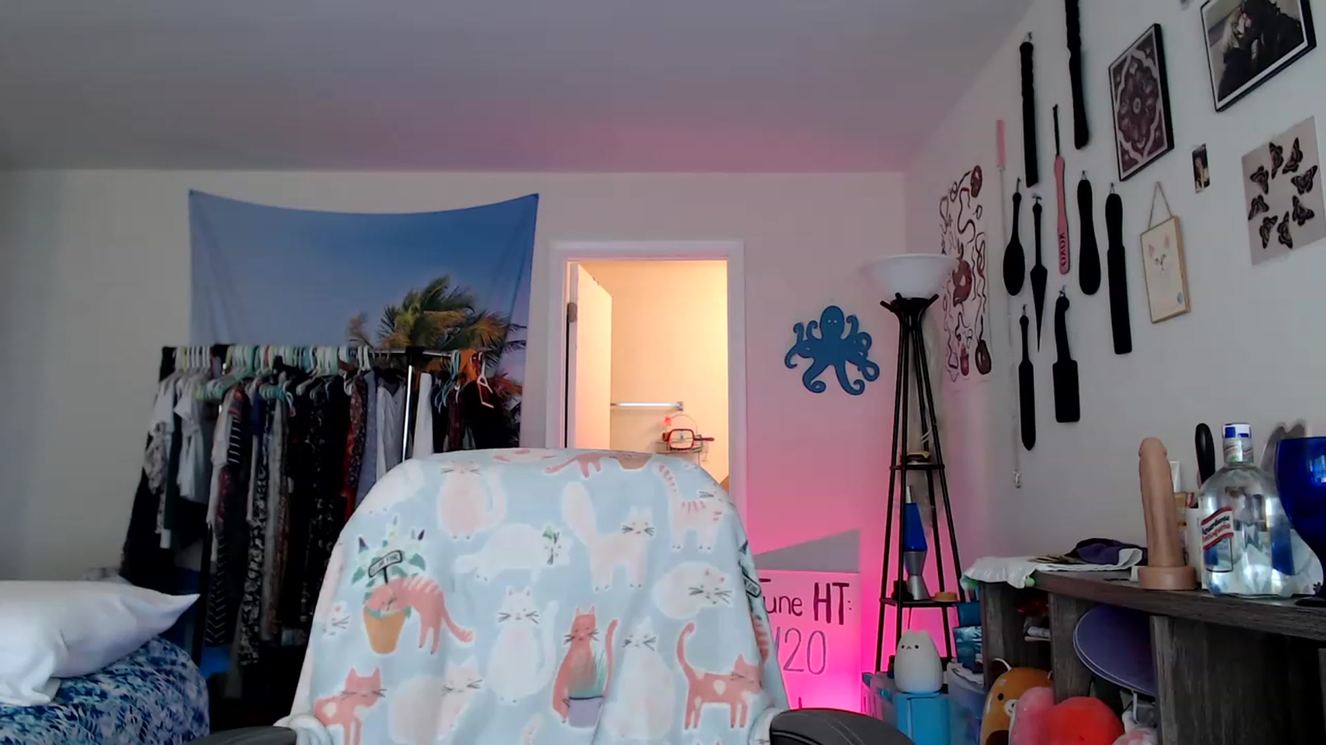 Gallery image thumbnail from Kittylacee's myfreecams stream on, 06/24/2023, 16:54 image 3 of 20
