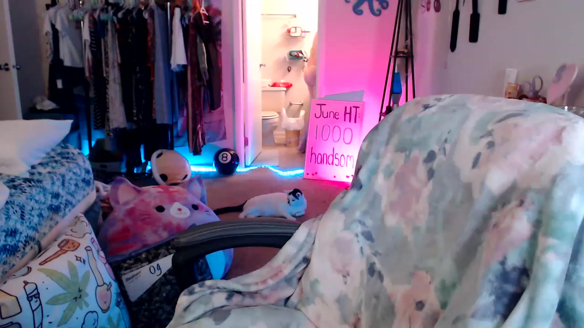 Gallery image thumbnail from Kittylacee's myfreecams stream on, 06/30/2023, 08:34 image 1 of 20