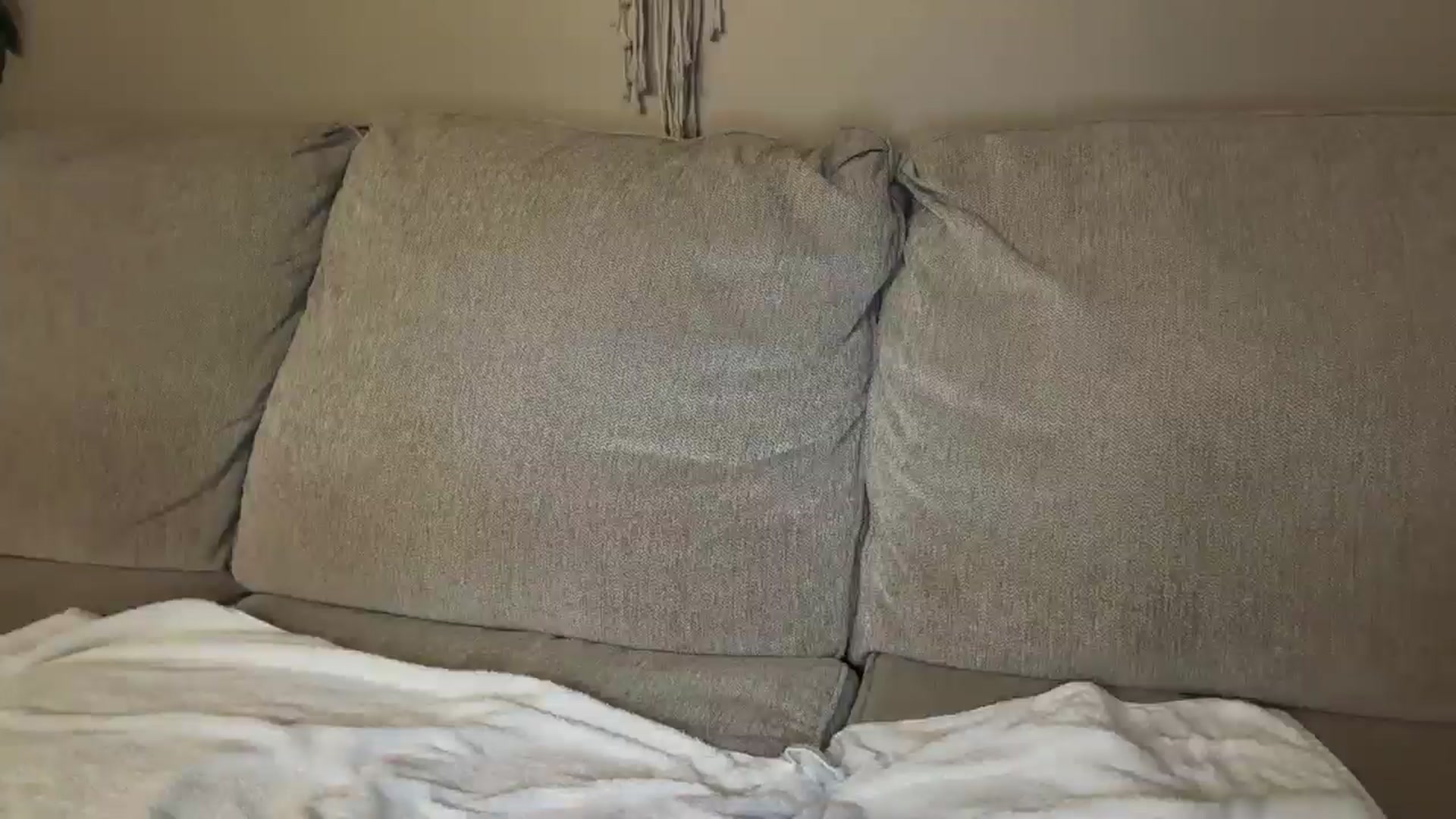 Gallery image thumbnail from Kittylick420's myfreecams stream on, 08/30/2025, 05:51 image 3 of 20