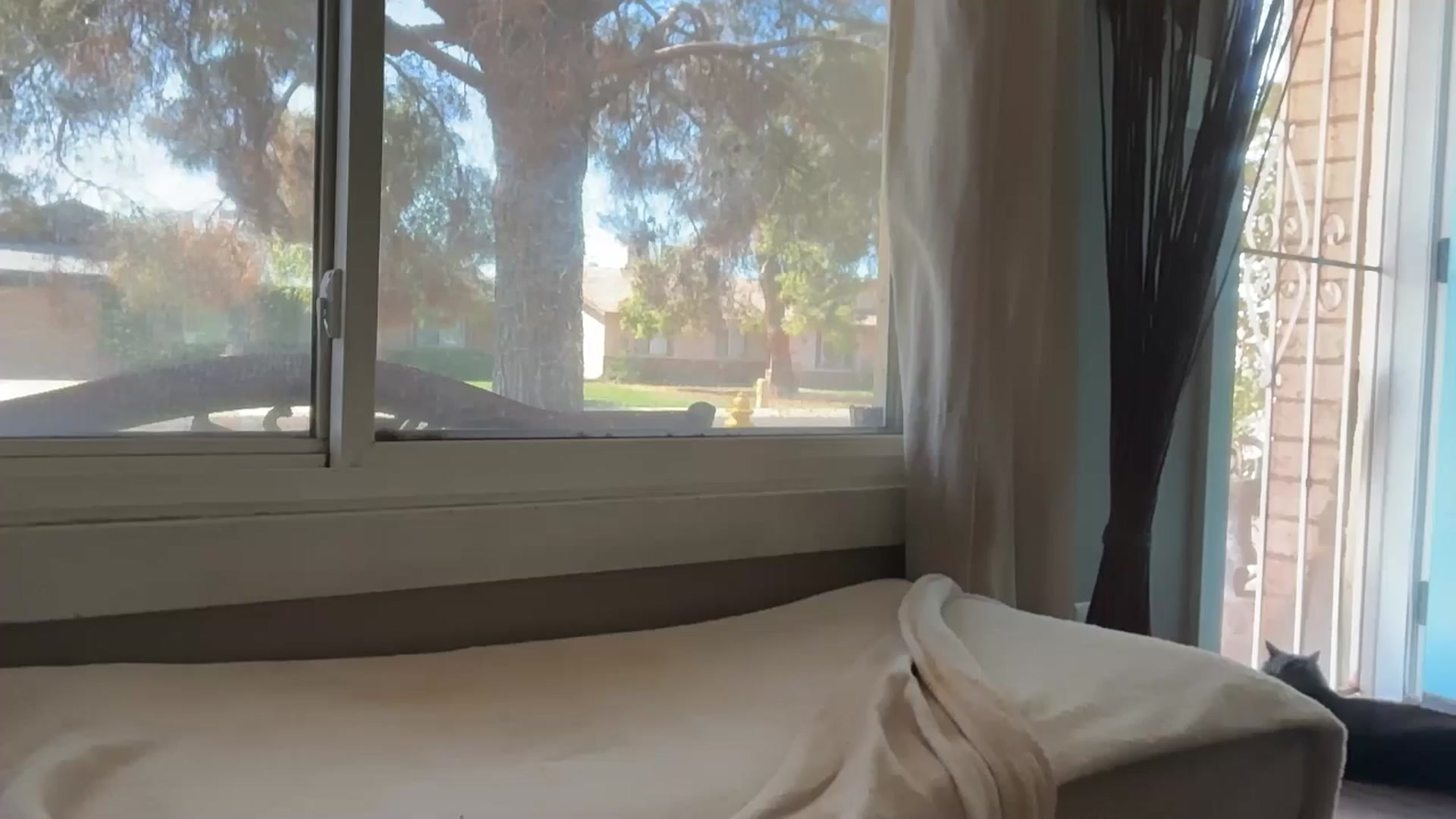 Gallery image thumbnail from Kittylick420's myfreecams stream on, 09/14/2025, 18:03 image 15 of 20