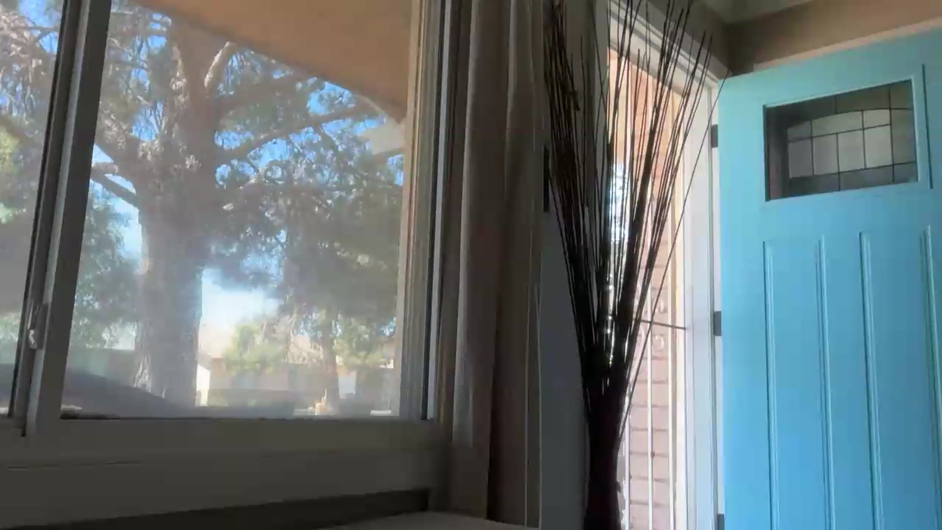 Gallery image thumbnail from Kittylick420's myfreecams stream on, 05/24/2026, 17:46 image 19 of 20