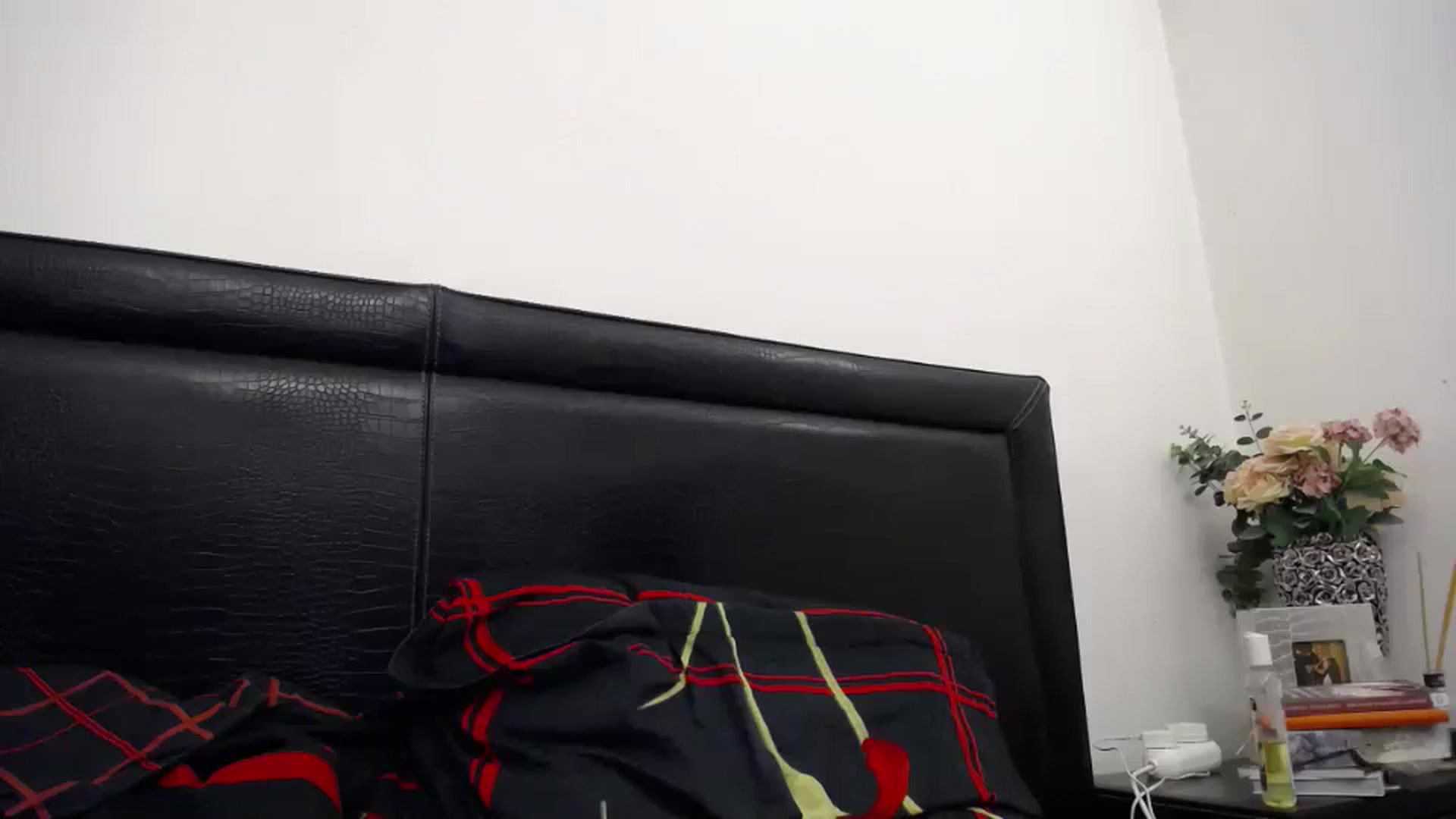 Gallery image thumbnail from Klarita_'s myfreecams stream on, 08/20/2024, 22:30 image 18 of 20