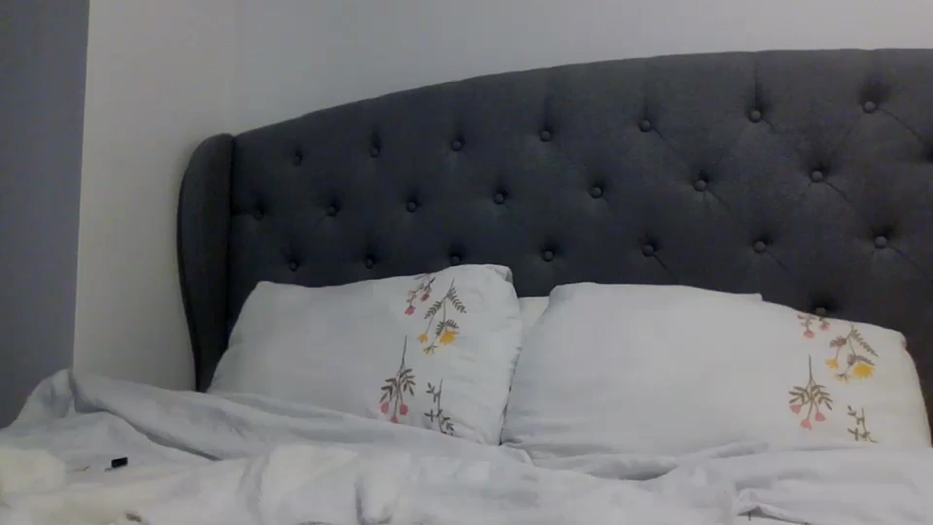 Gallery image thumbnail from Klarita_'s myfreecams stream on, 03/02/2025, 22:01 image 17 of 20