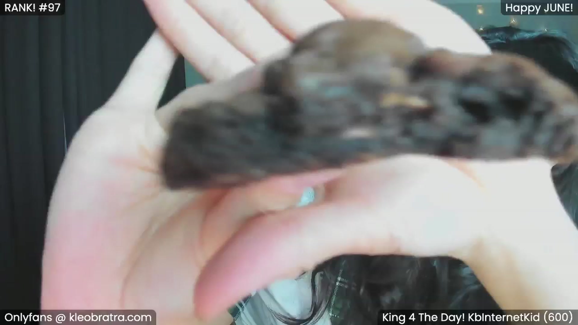Gallery image thumbnail from KleoBratra's myfreecams stream on, 06/14/2024, 11:42 image 5 of 20