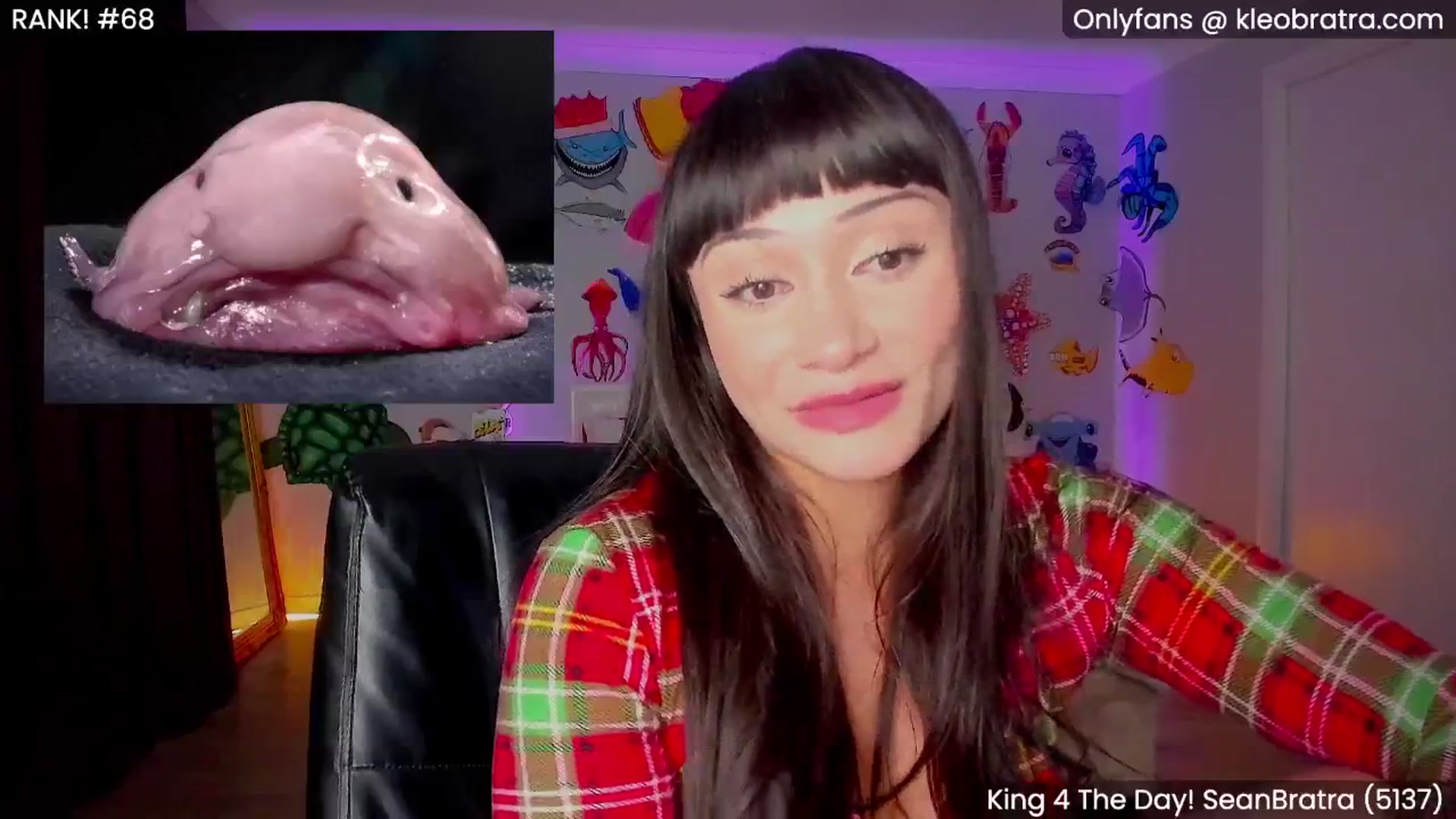Gallery image thumbnail from KleoBratra's myfreecams stream on, 06/11/2025, 11:33 image 4 of 20