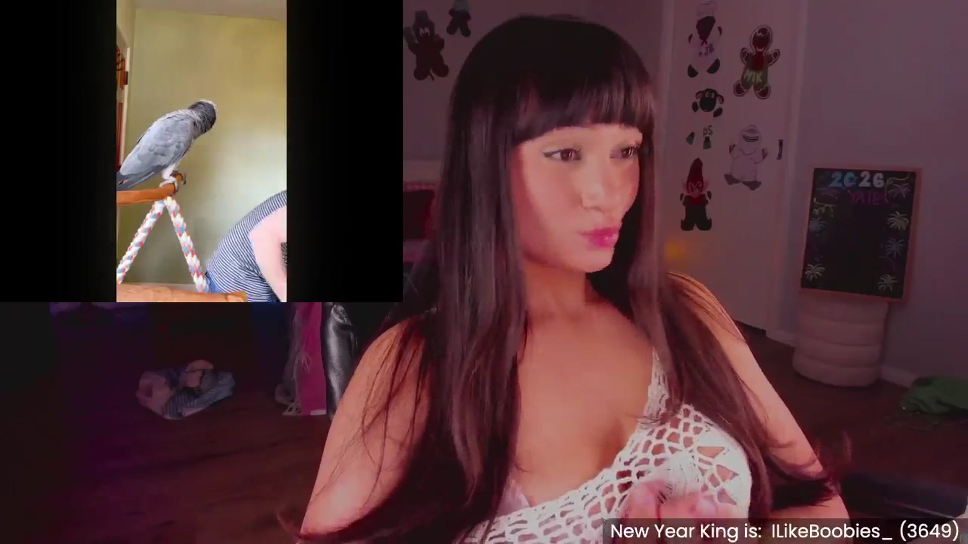 Gallery image thumbnail from KleoBratra's myfreecams stream on, 01/01/2026, 13:30 image 12 of 20