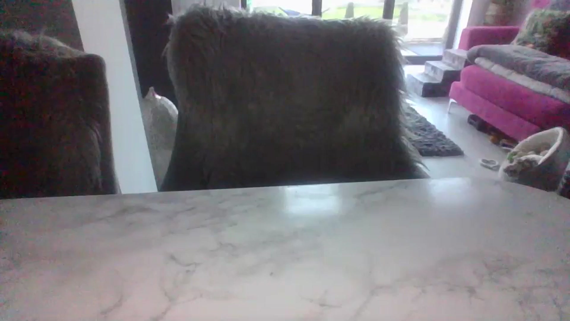 Gallery image thumbnail from Klo35's myfreecams stream on, 07/09/2023, 20:52 image 5 of 20