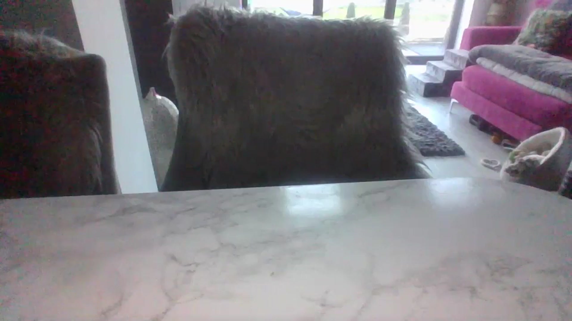 Gallery image thumbnail from Klo35's myfreecams stream on, 07/09/2023, 20:52 image 4 of 20