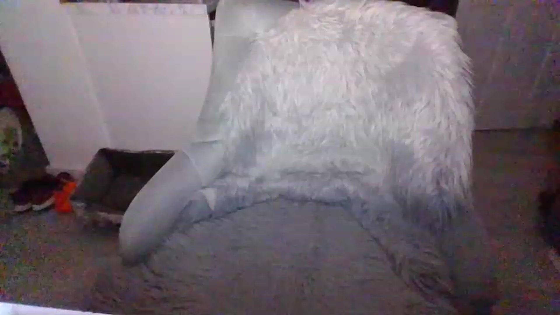 Gallery image thumbnail from Klo35's myfreecams stream on, 07/23/2023, 22:17 image 3 of 20