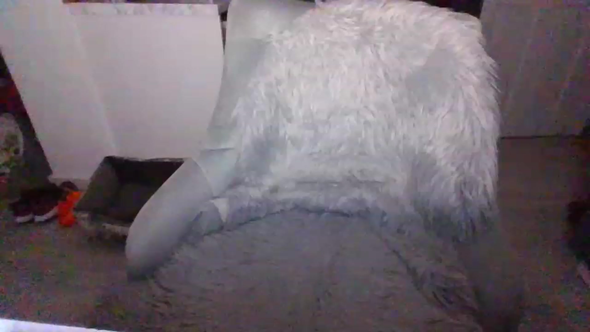 Gallery image thumbnail from Klo35's myfreecams stream on, 07/23/2023, 22:17 image 2 of 20