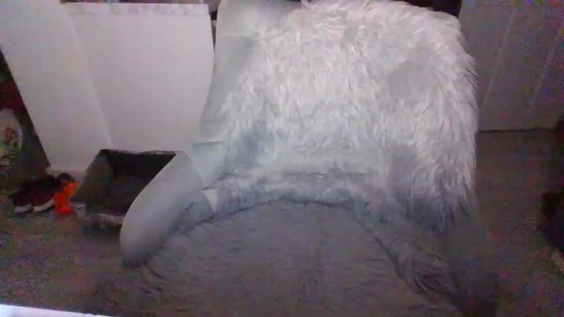 Gallery image thumbnail from Klo35's myfreecams stream on, 07/23/2023, 22:17 image 4 of 20