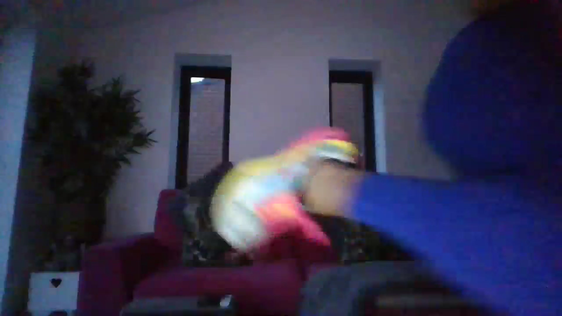 Gallery image thumbnail from Klo35's myfreecams stream on, 08/16/2023, 20:12 image 2 of 20