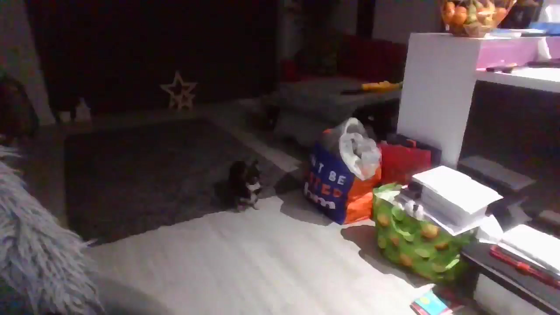Gallery image thumbnail from Klo35's myfreecams stream on, 02/16/2025, 22:39 image 18 of 20