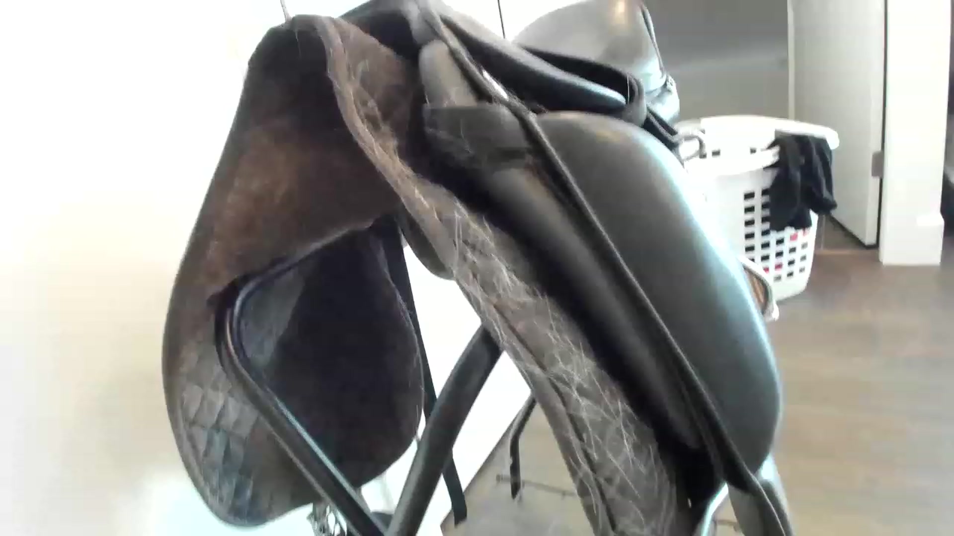 Gallery image thumbnail from KnockinBootss's myfreecams stream on, 04/12/2023, 22:12 image 20 of 20