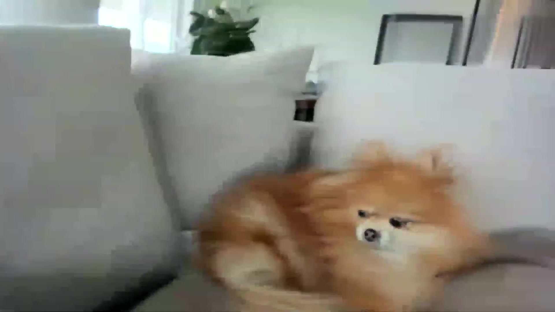 Gallery image thumbnail from KnockinBootss's myfreecams stream on, 04/30/2023, 19:08 image 12 of 20