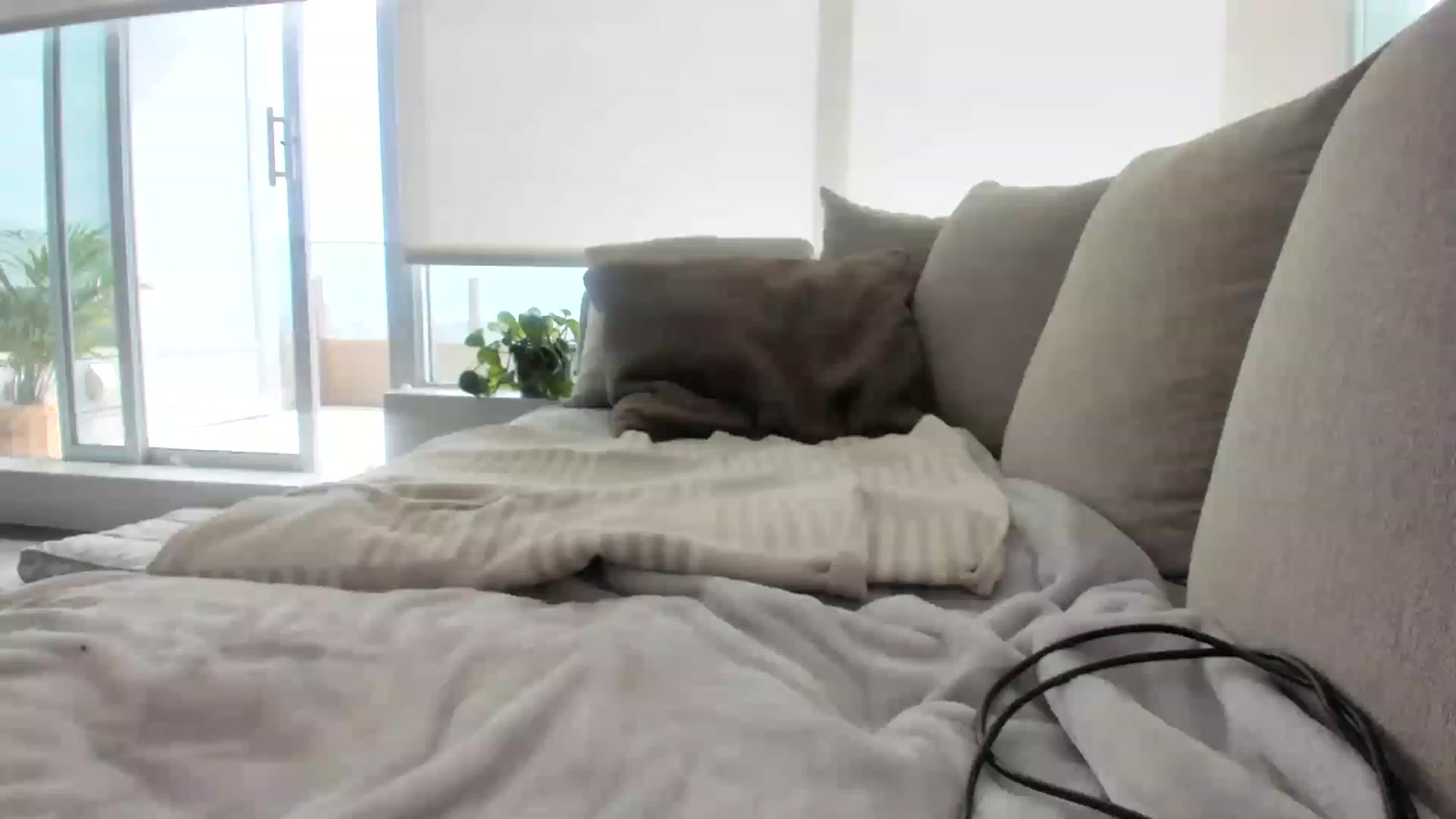 Gallery image thumbnail from KnockinBootss's myfreecams stream on, 04/30/2023, 23:42 image 5 of 20