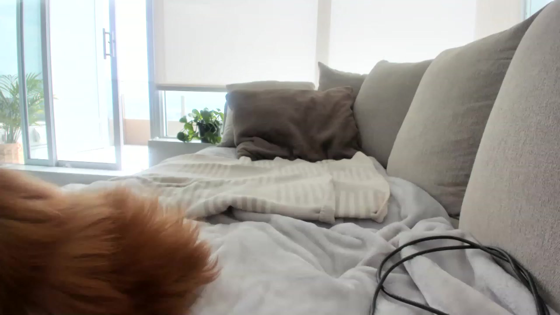 Gallery image thumbnail from KnockinBootss's myfreecams stream on, 04/30/2023, 23:42 image 4 of 20