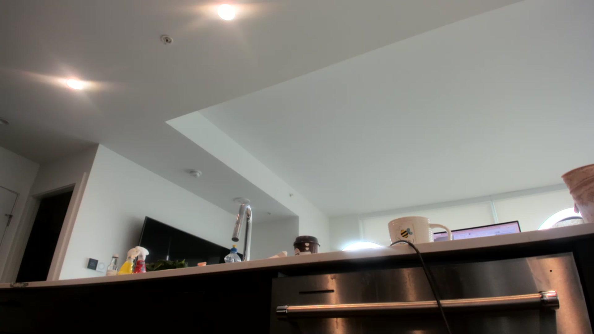 Gallery image thumbnail from KnockinBootss's myfreecams stream on, 05/01/2023, 20:55 image 13 of 20