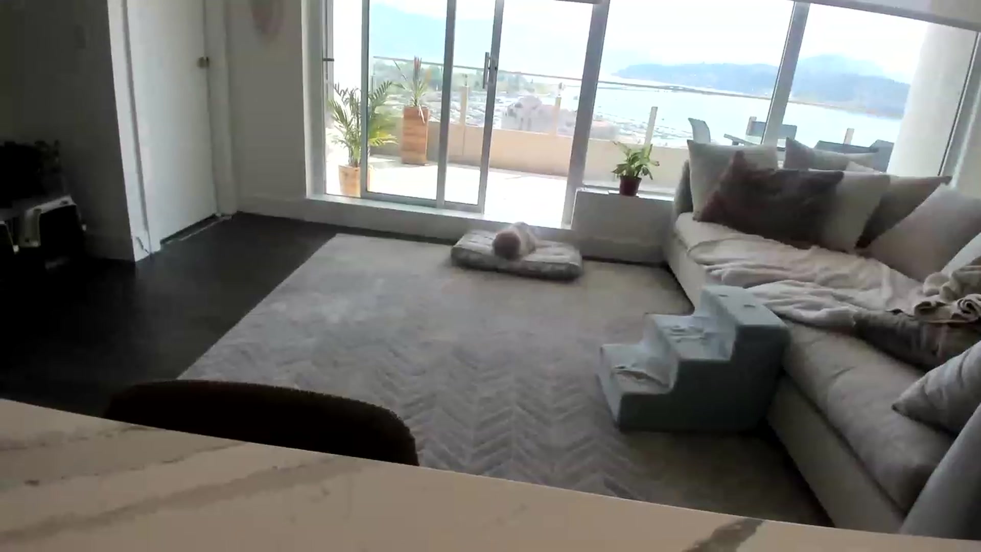 Gallery image thumbnail from KnockinBootss's myfreecams stream on, 05/13/2023, 22:55 image 19 of 20