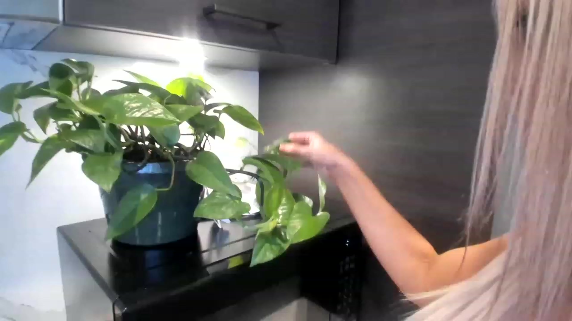 Gallery image thumbnail from KnockinBootss's myfreecams stream on, 05/24/2023, 02:40 image 10 of 20