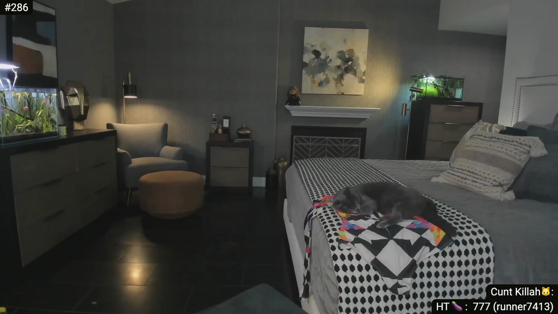 Gallery image thumbnail from Korova_'s myfreecams stream on, 07/02/2023, 07:59 image 4 of 20