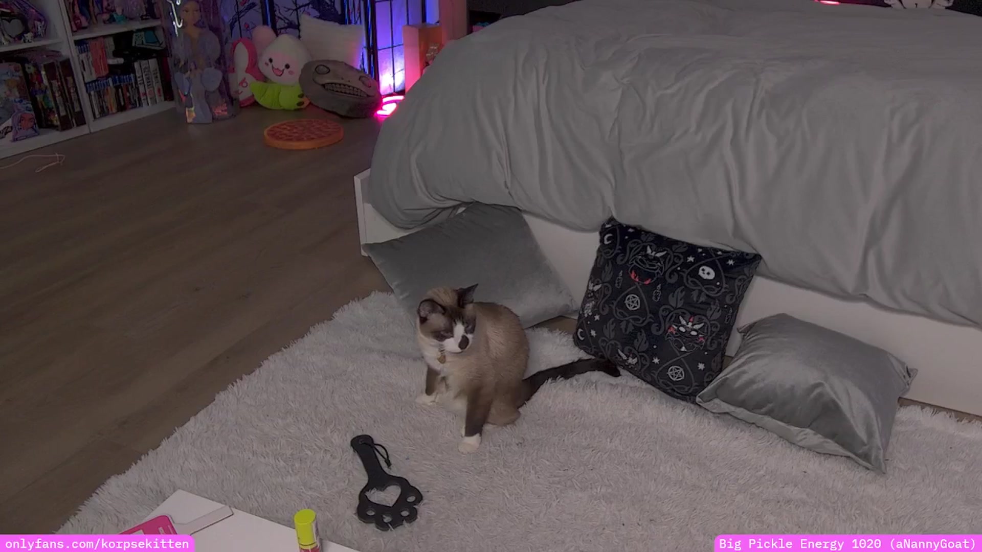 Gallery image thumbnail from KorpseKitten's myfreecams stream on, 05/17/2025, 03:57 image 16 of 20