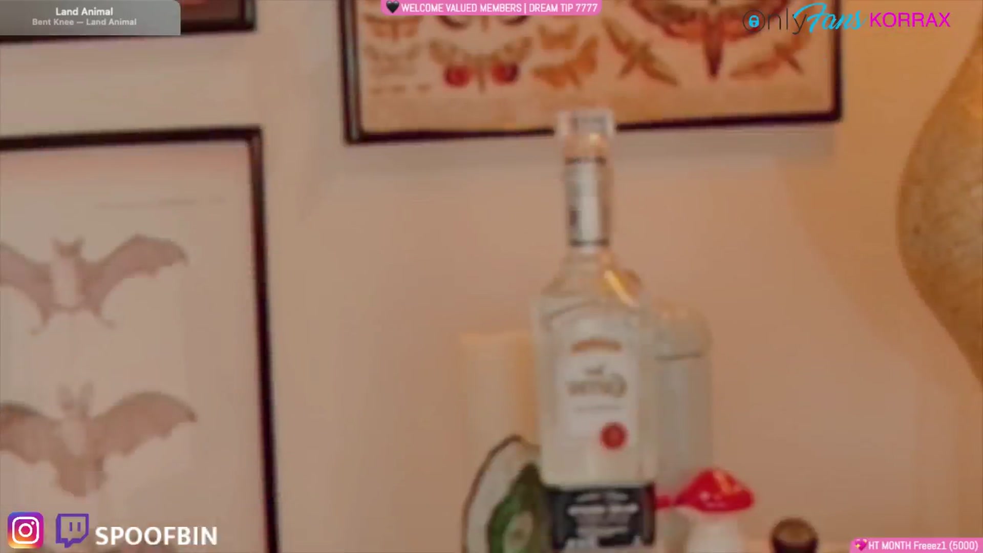Gallery image thumbnail from Korra's myfreecams stream on, 12/15/2024, 10:59 image 9 of 20