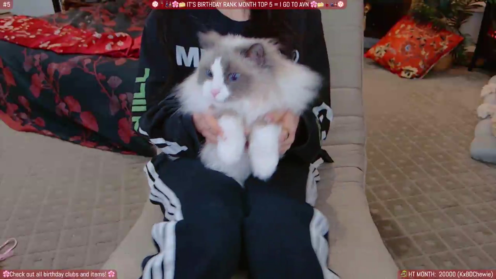 Gallery image thumbnail from Korra's myfreecams stream on, 08/07/2026, 10:11 image 20 of 20
