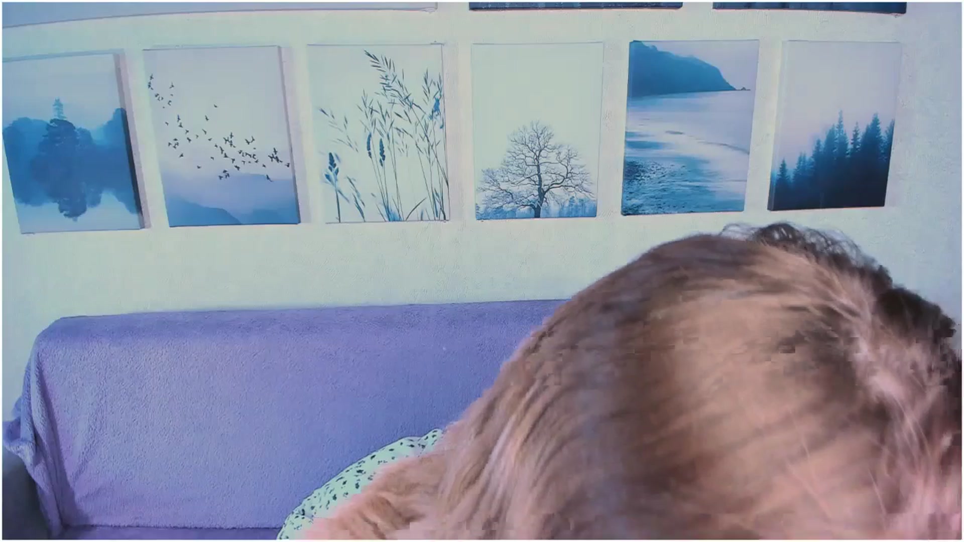 Gallery image thumbnail from Kota_sky's myfreecams stream on, 04/03/2024, 07:10 image 19 of 20