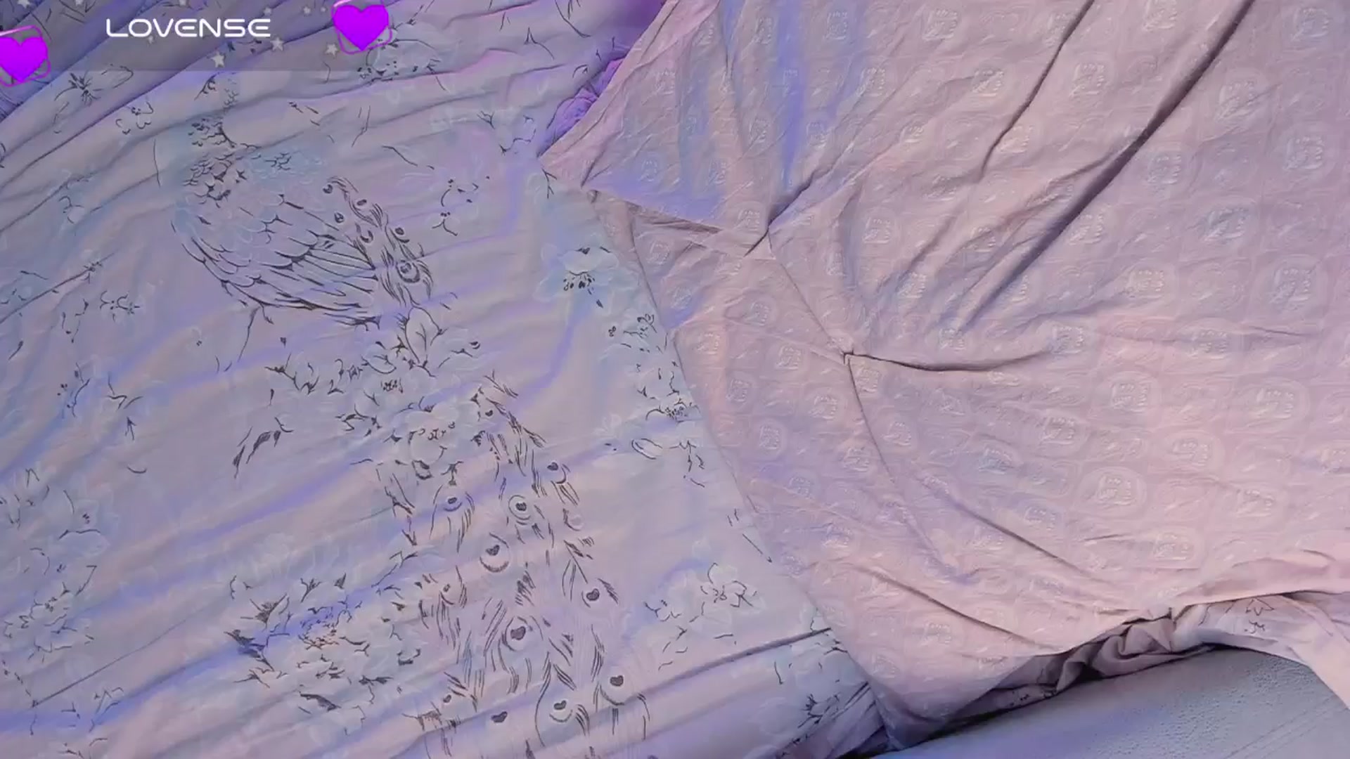 Gallery image thumbnail from Kota_sky's myfreecams stream on, 10/11/2024, 06:15 image 6 of 20