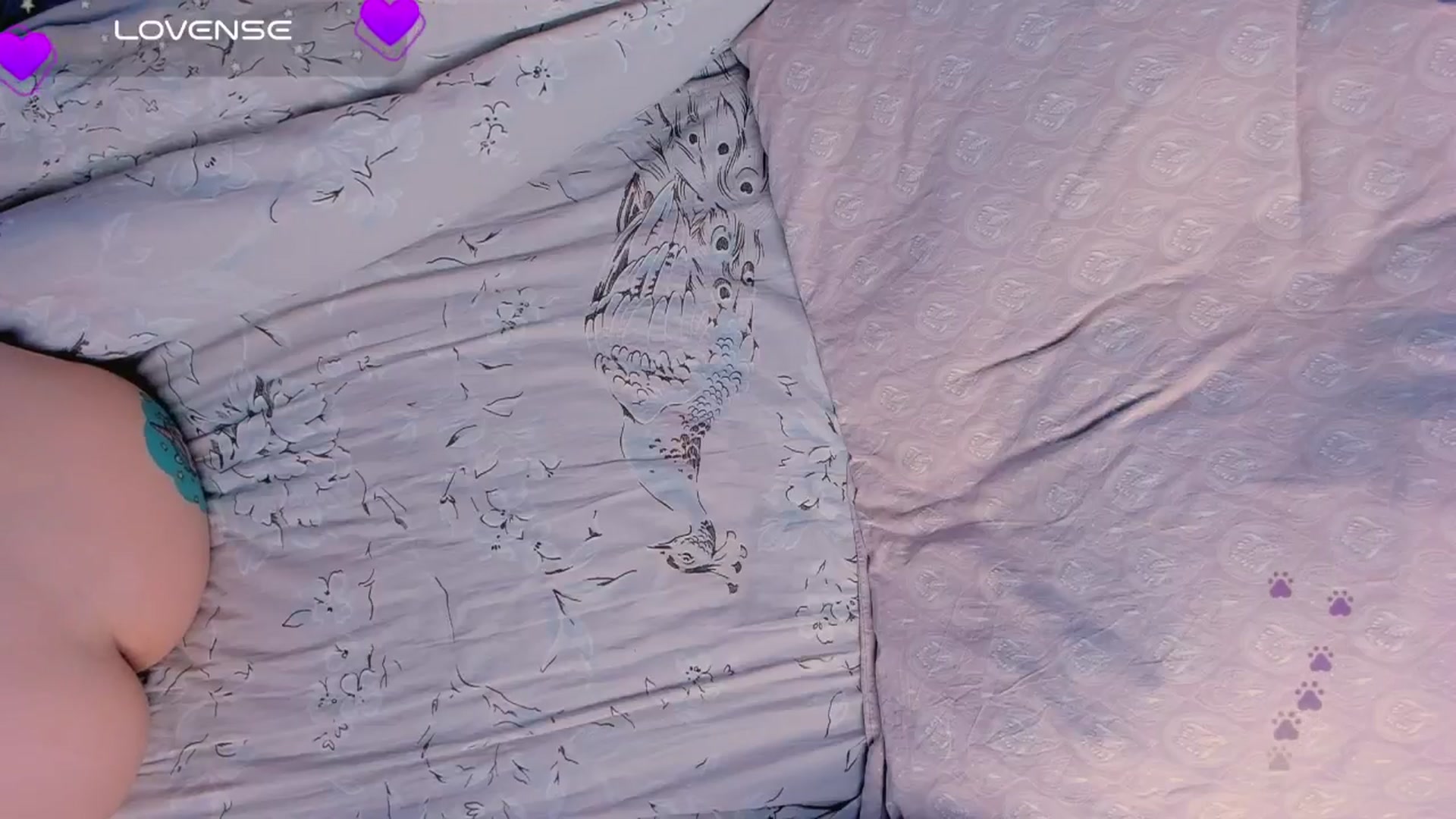 Gallery image thumbnail from Kota_sky's myfreecams stream on, 10/15/2024, 05:57 image 6 of 20