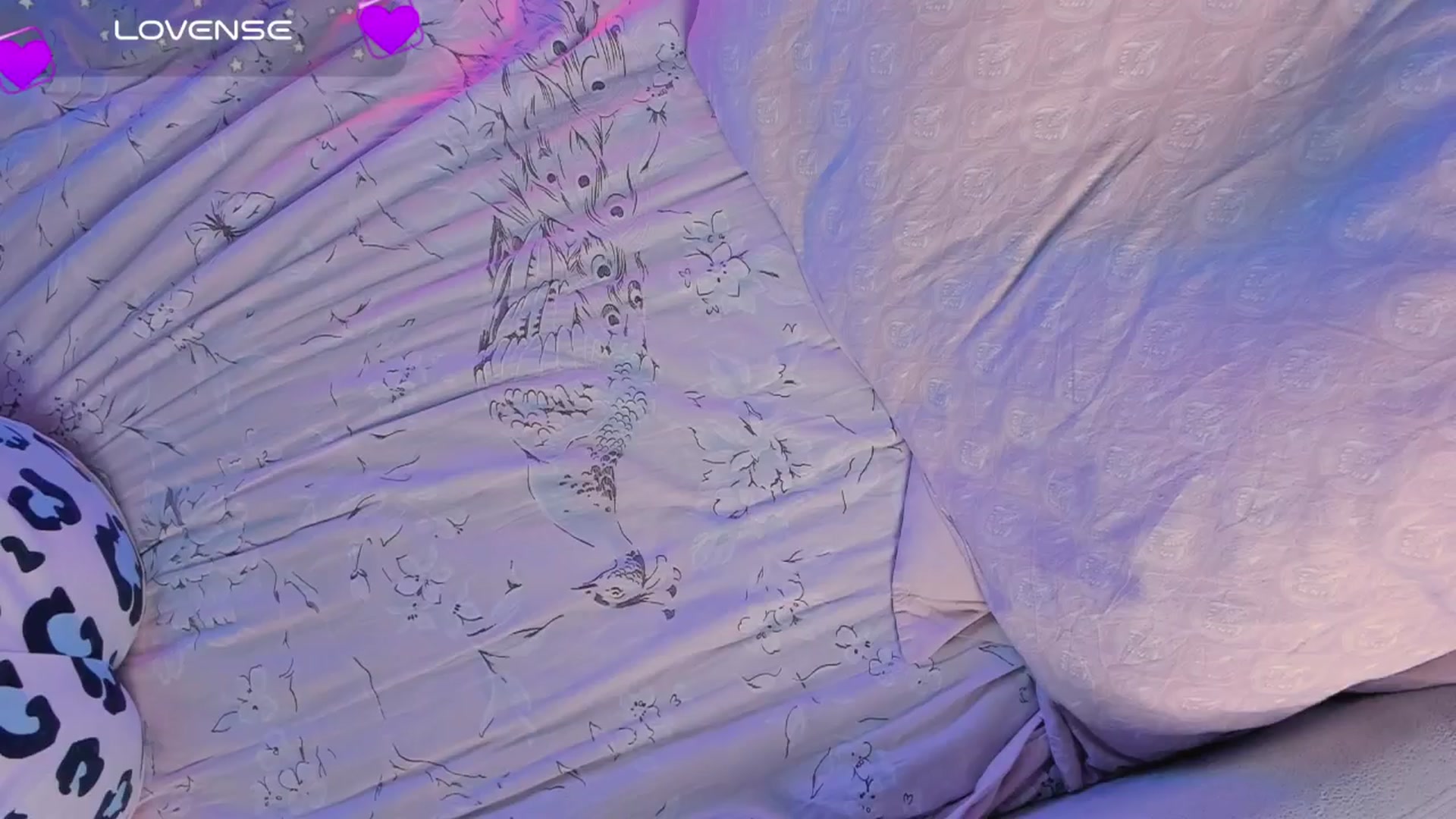 Gallery image thumbnail from Kota_sky's myfreecams stream on, 10/15/2024, 10:19 image 3 of 20