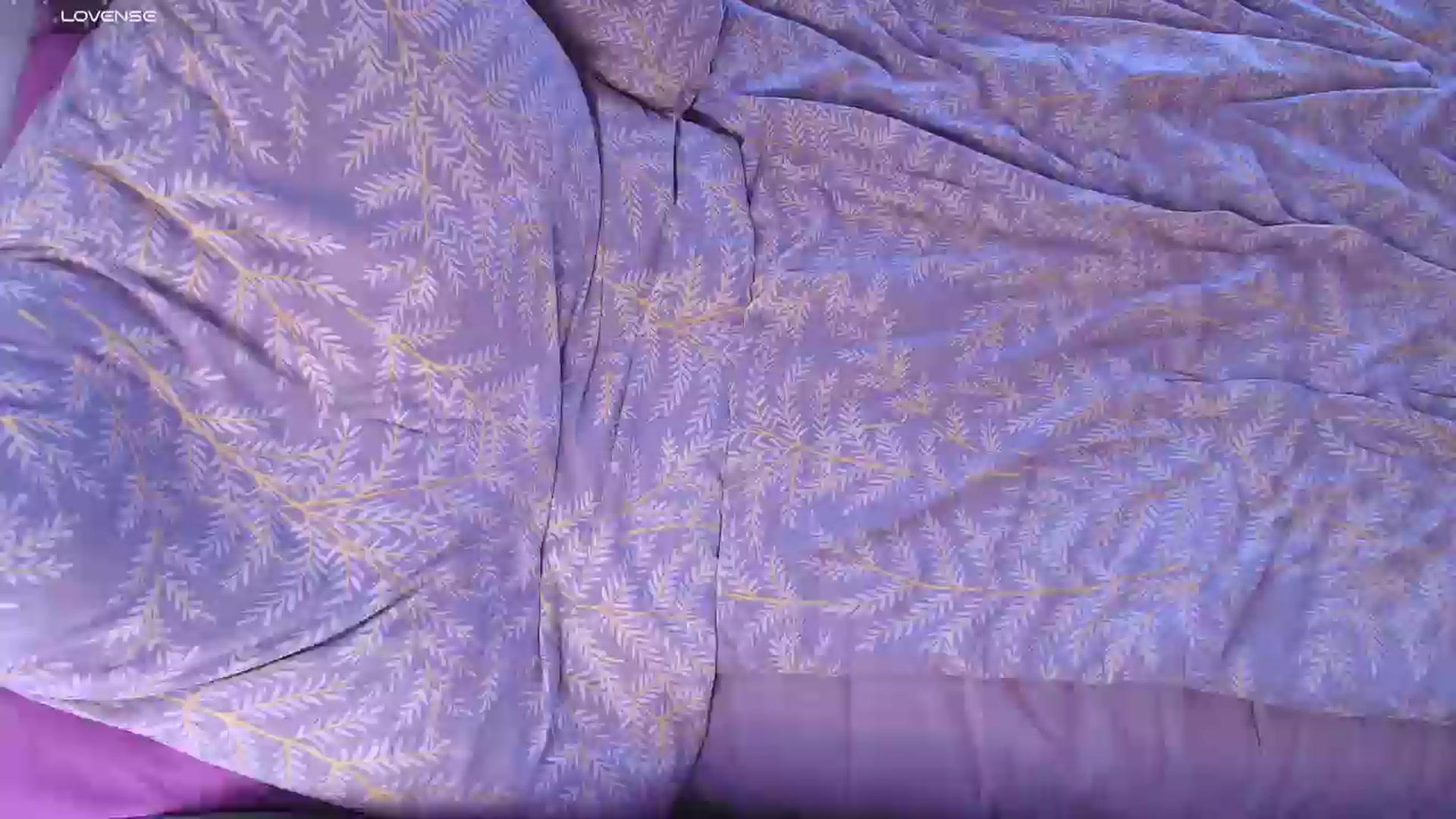 Gallery image thumbnail from Kota_sky's myfreecams stream on, 09/19/2025, 07:34 image 15 of 20