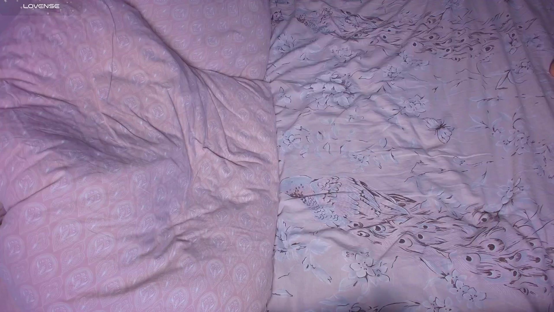 Gallery image thumbnail from Kota_sky's myfreecams stream on, 12/03/2025, 03:26 image 4 of 20