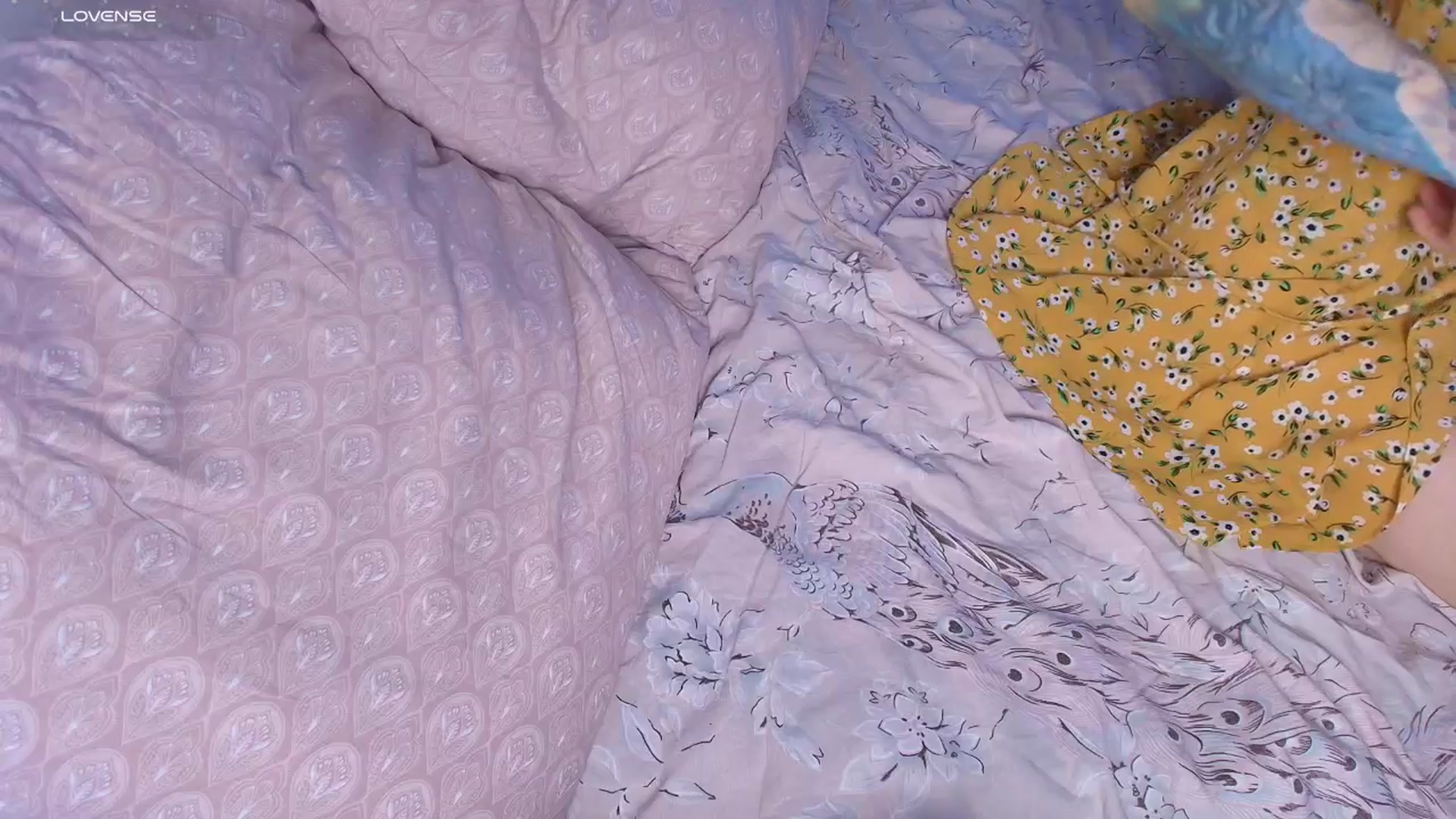 Gallery image thumbnail from Kota_sky's myfreecams stream on, 12/03/2025, 07:32 image 19 of 20