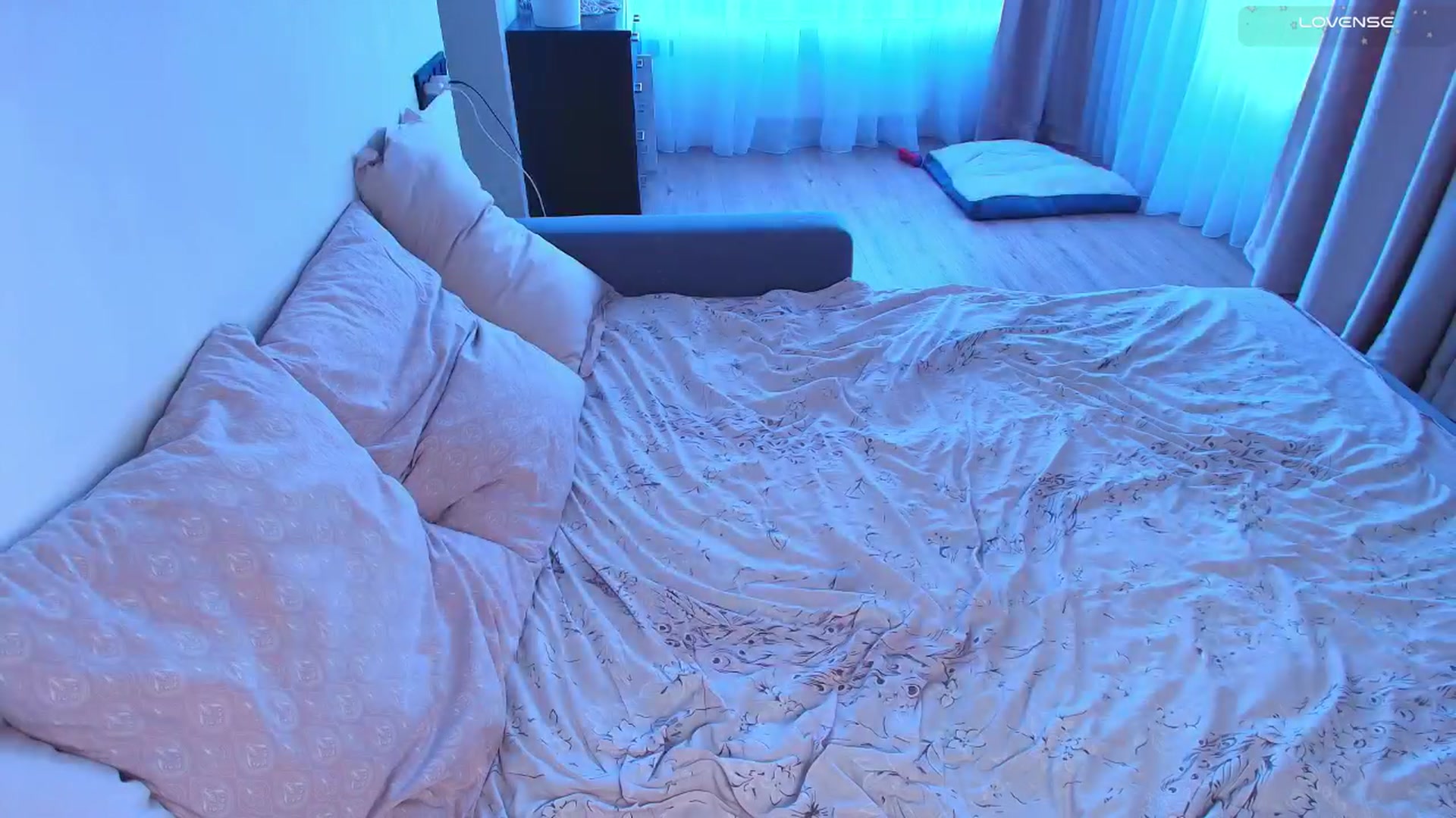 Gallery image thumbnail from Kota_sky's myfreecams stream on, 02/24/2026, 07:07 image 10 of 20