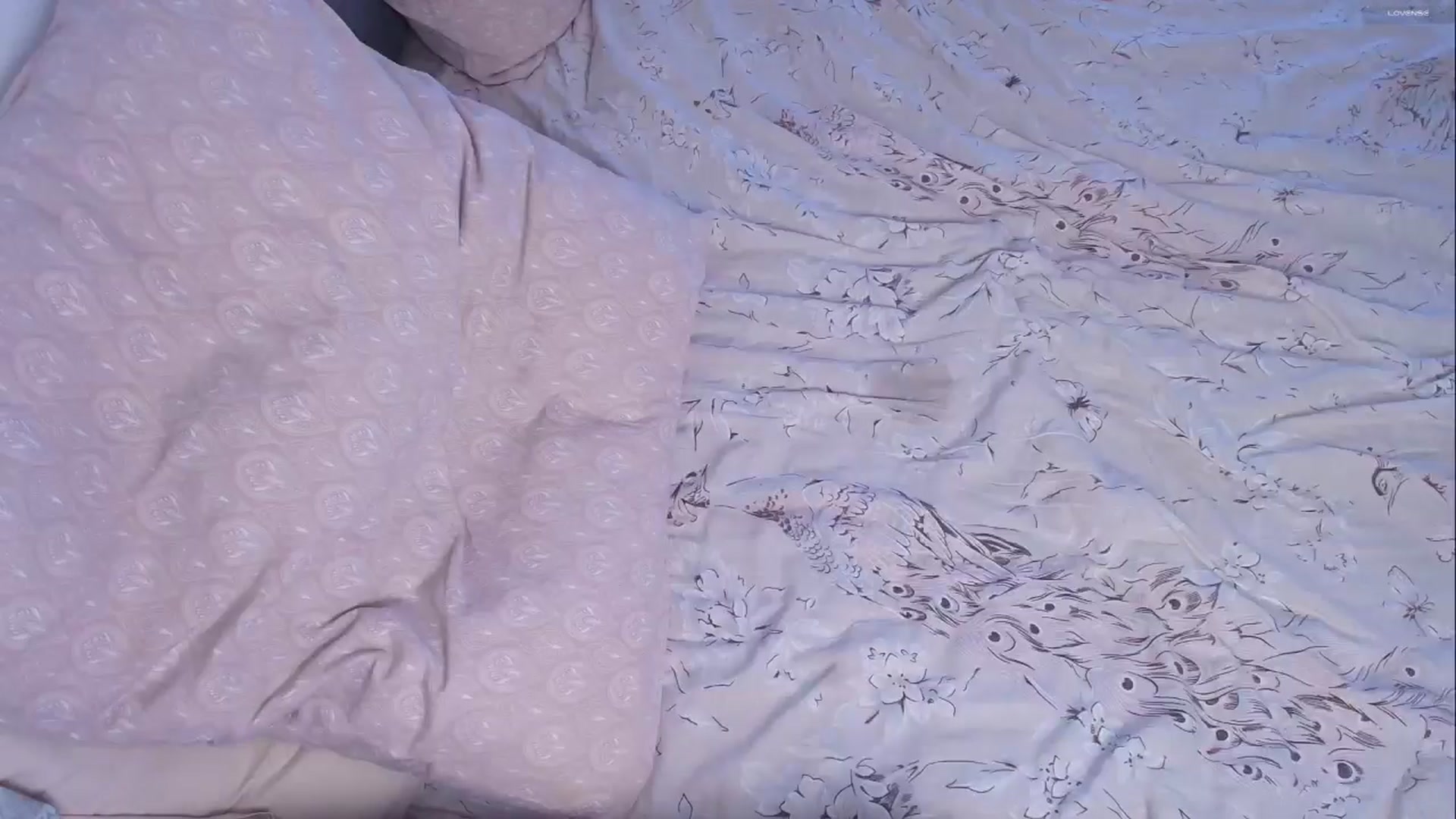 Gallery image thumbnail from Kota_sky's myfreecams stream on, 03/20/2026, 07:02 image 11 of 20