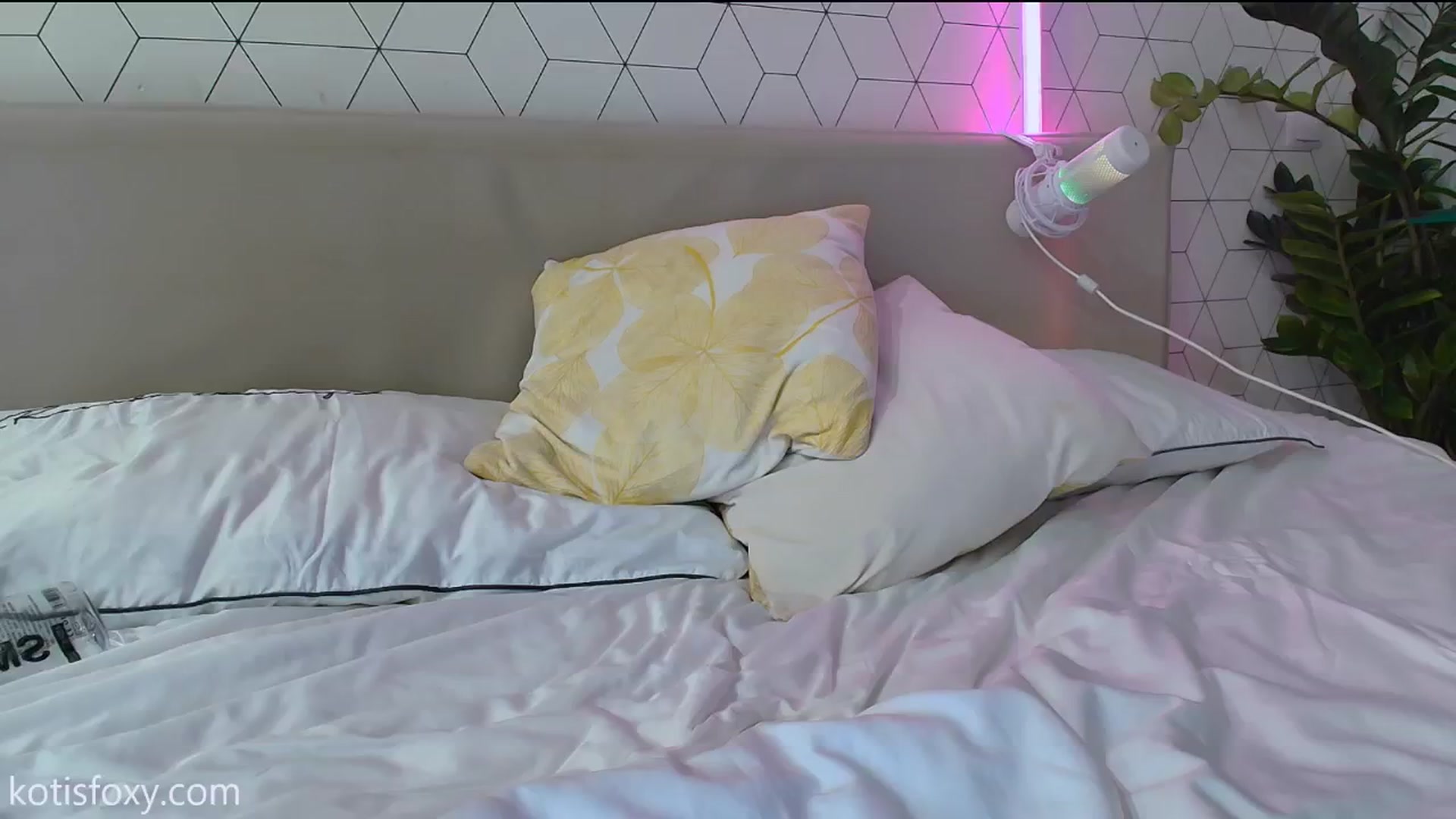 Gallery image thumbnail from KotisFoxy's myfreecams stream on, 12/02/2024, 15:11 image 18 of 20
