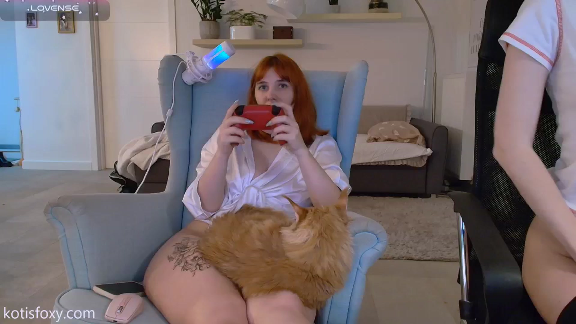 Gallery image thumbnail from KotisFoxy's myfreecams stream on, 12/16/2024, 03:49 image 12 of 20