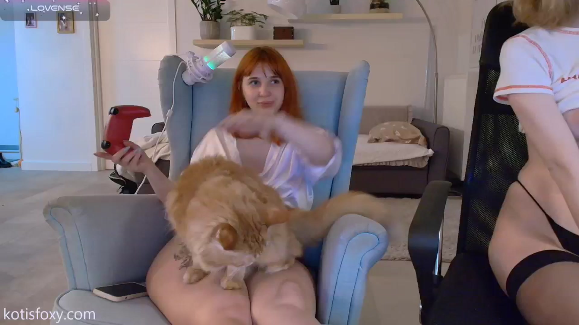 Gallery image thumbnail from KotisFoxy's myfreecams stream on, 12/16/2024, 03:49 image 9 of 20