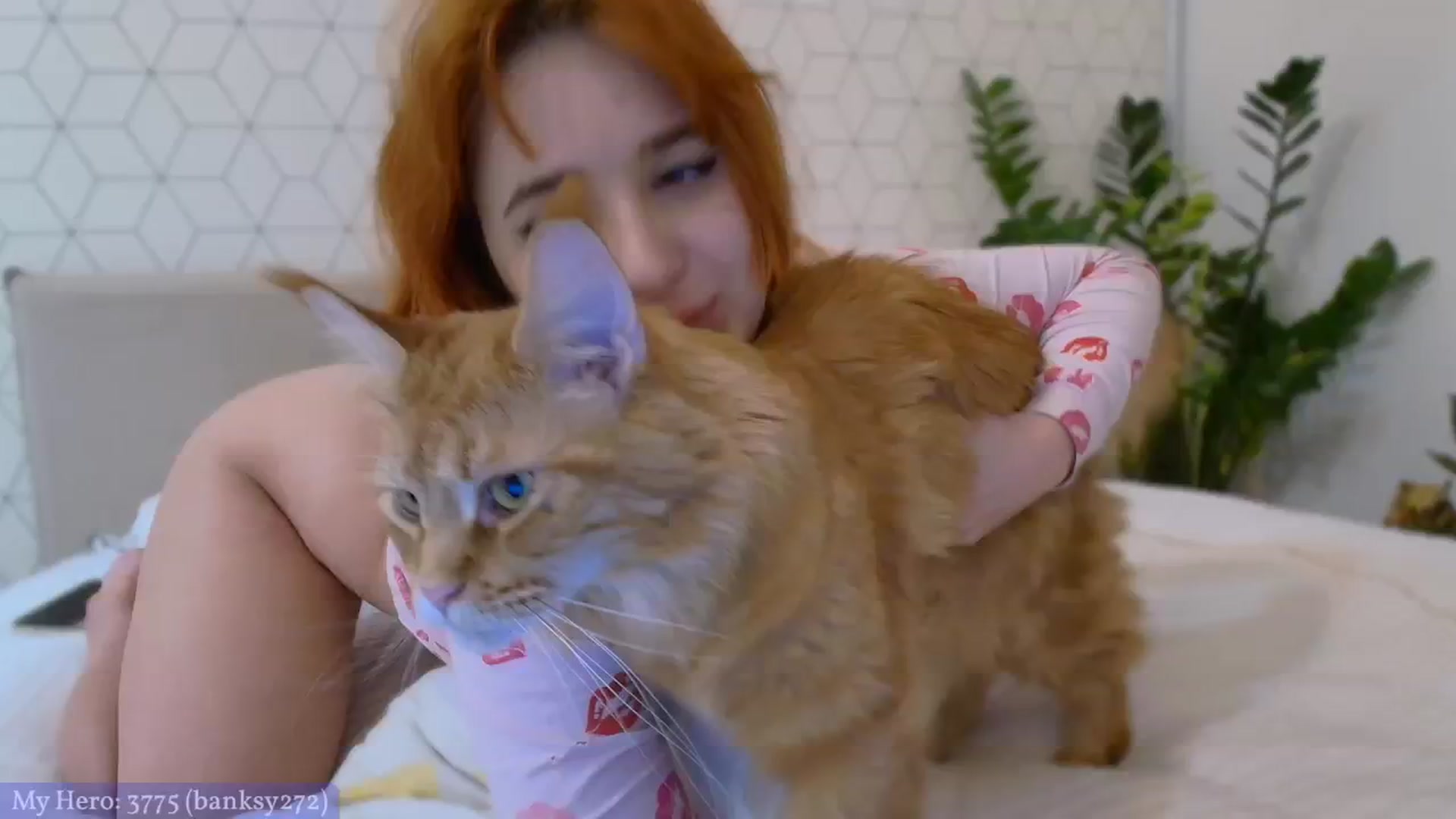 Gallery image thumbnail from KotisFoxy's myfreecams stream on, 01/03/2025, 23:17 image 11 of 20