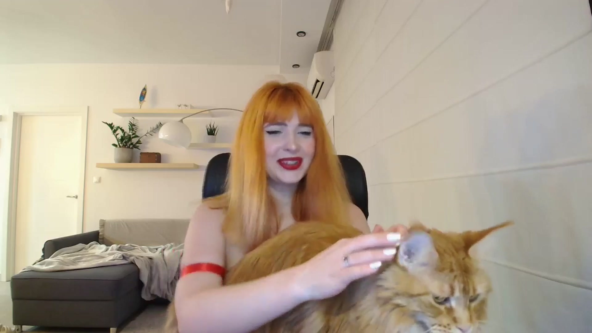 Gallery image thumbnail from KotisFoxy's myfreecams stream on, 06/23/2025, 22:30 image 12 of 20