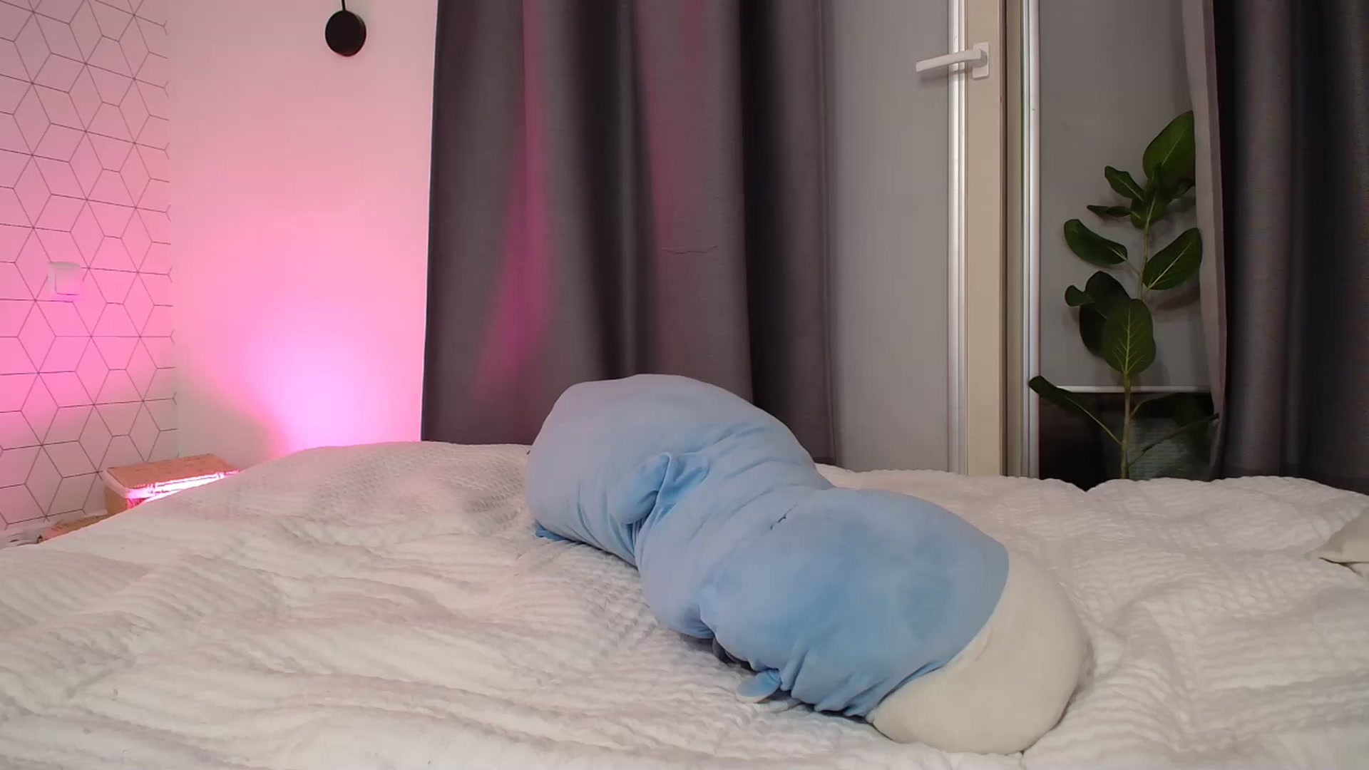 Gallery image thumbnail from KotisFoxy's myfreecams stream on, 07/09/2025, 22:01 image 3 of 20