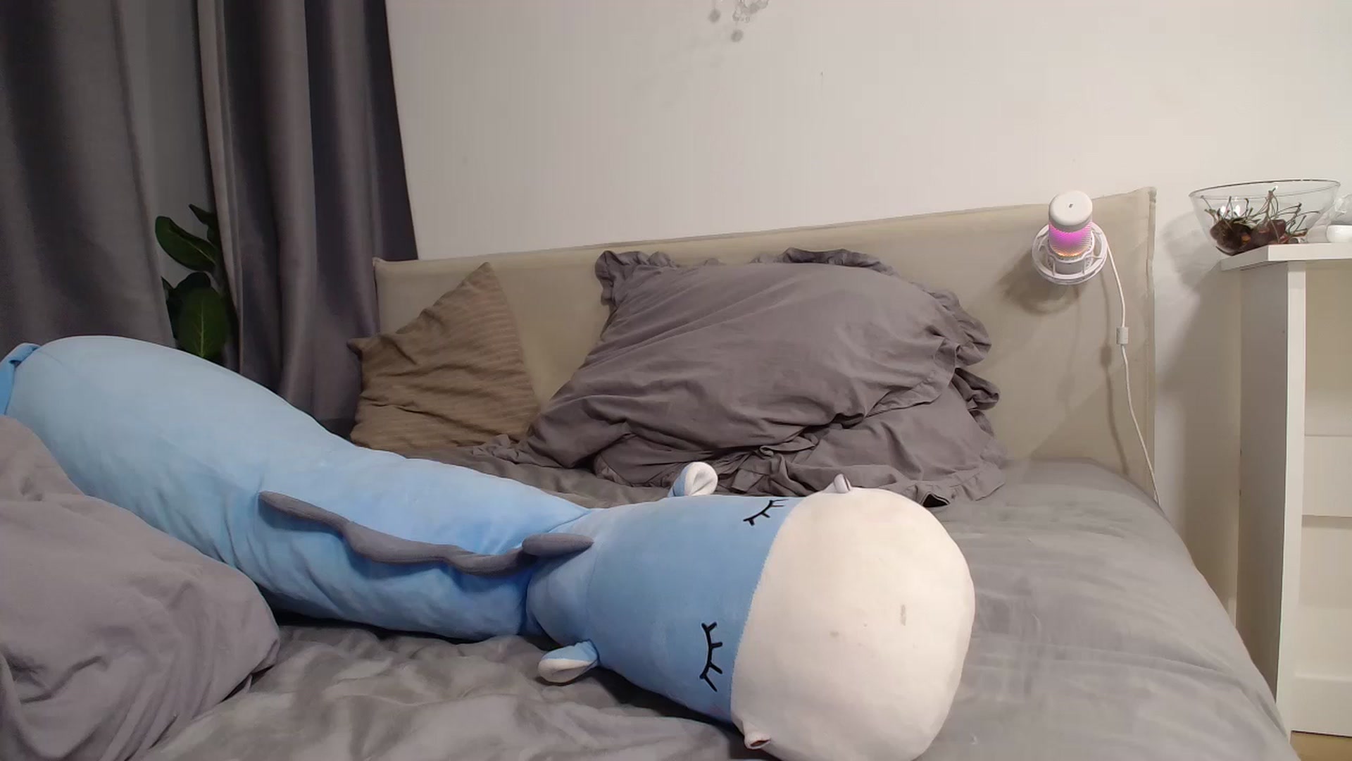 Gallery image thumbnail from KotisFoxy's myfreecams stream on, 07/17/2025, 22:06 image 17 of 20