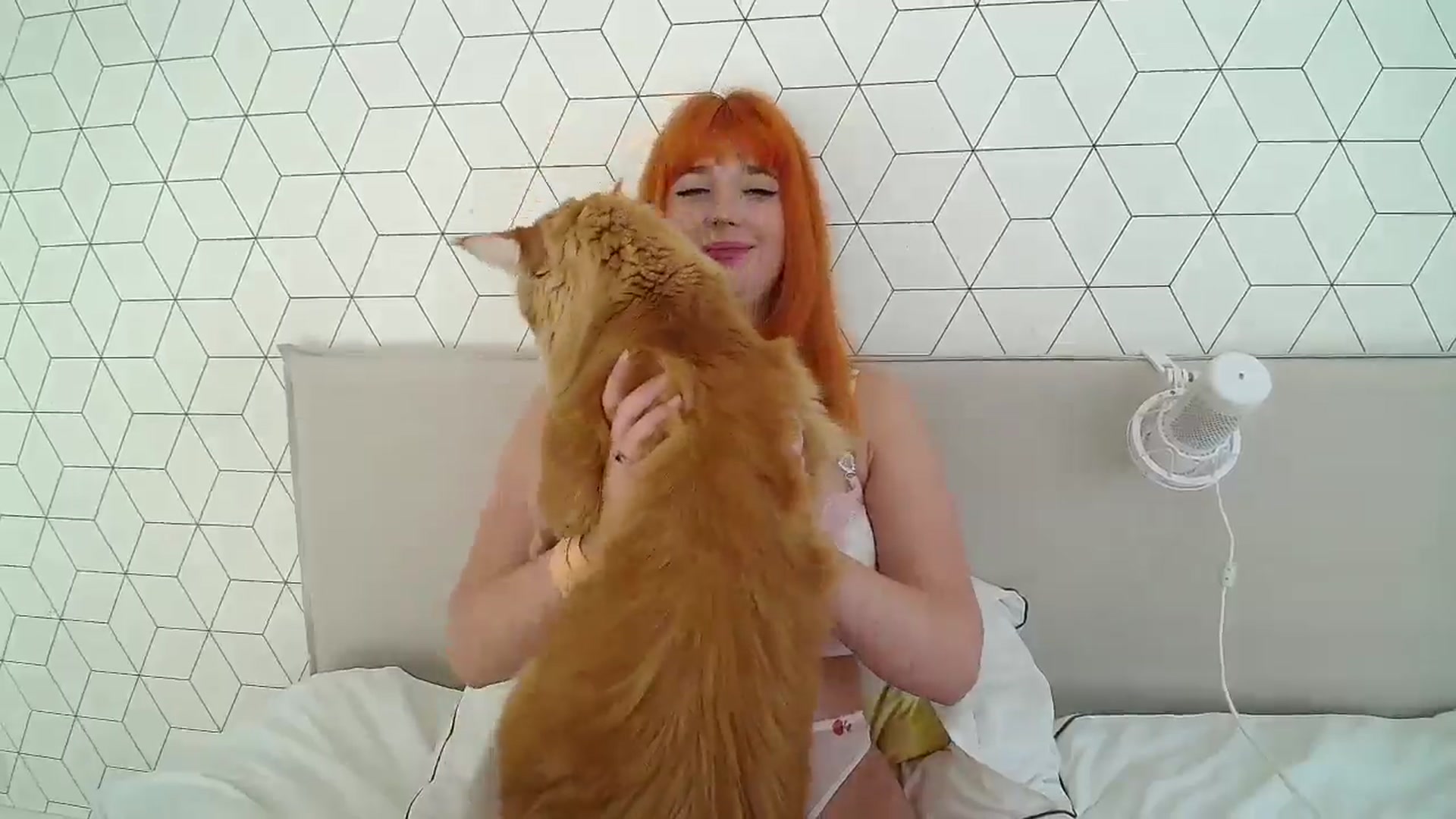 Gallery image thumbnail from KotisFoxy's myfreecams stream on, 09/02/2025, 05:52 image 19 of 20