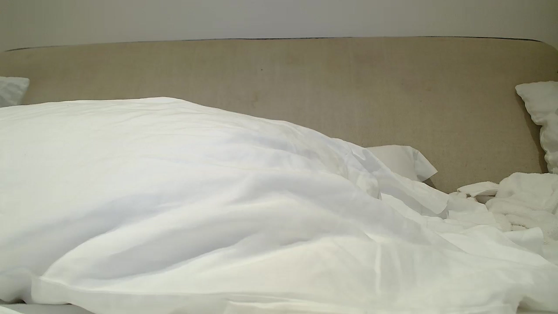 Gallery image thumbnail from KotisFoxy's myfreecams stream on, 09/05/2025, 19:17 image 3 of 20
