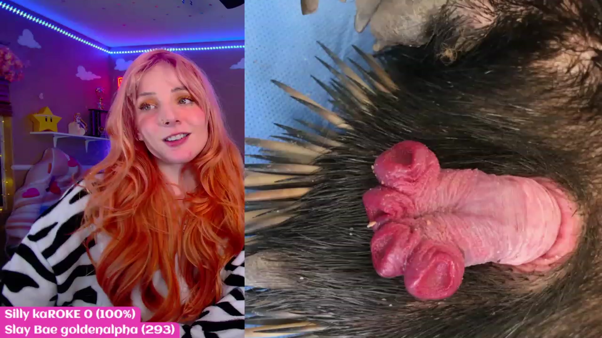 Gallery image thumbnail from KristieBish's myfreecams stream on, 03/06/2023, 07:32 image 7 of 20