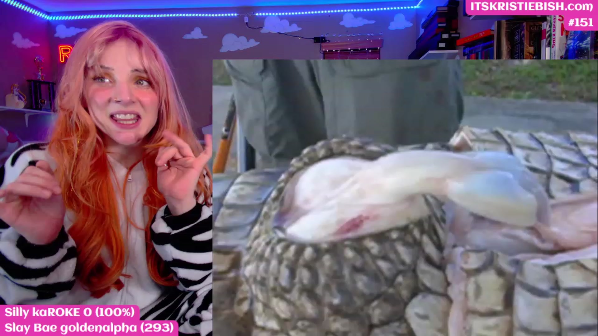 Gallery image thumbnail from KristieBish's myfreecams stream on, 03/06/2023, 07:32 image 11 of 20