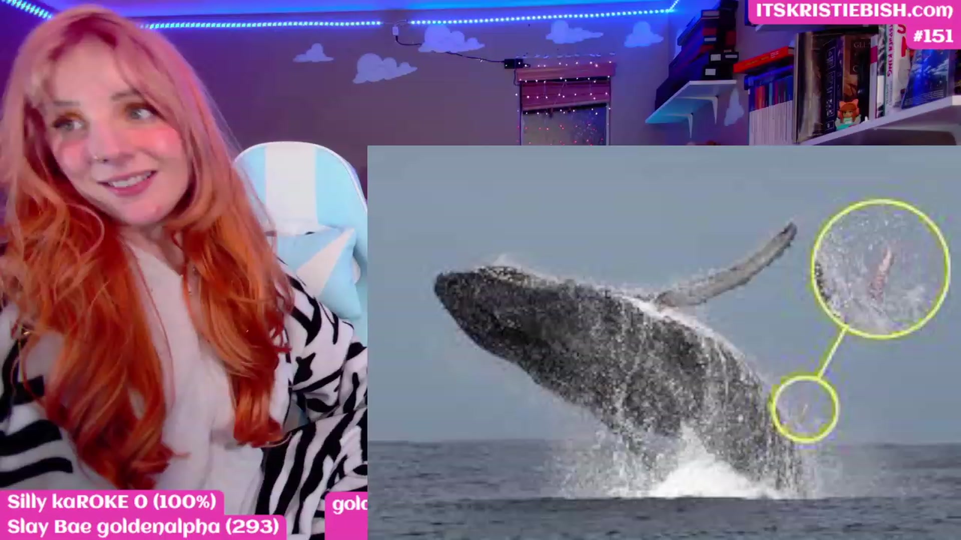 Gallery image thumbnail from KristieBish's myfreecams stream on, 03/06/2023, 07:32 image 13 of 20