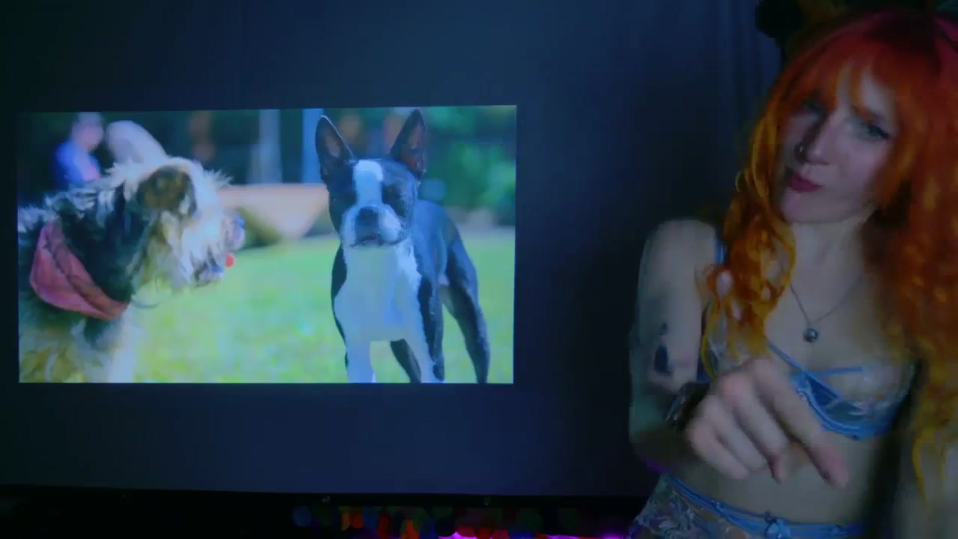 Gallery image thumbnail from KristieBish's myfreecams stream on, 03/30/2024, 06:38 image 15 of 20